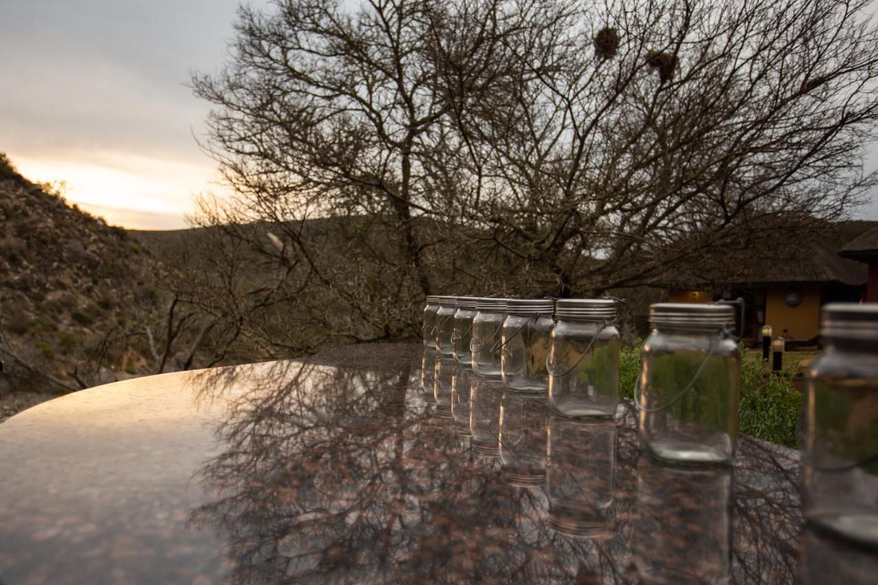 Indalu Game Reserve Boggomsbaai المظهر الخارجي الصورة